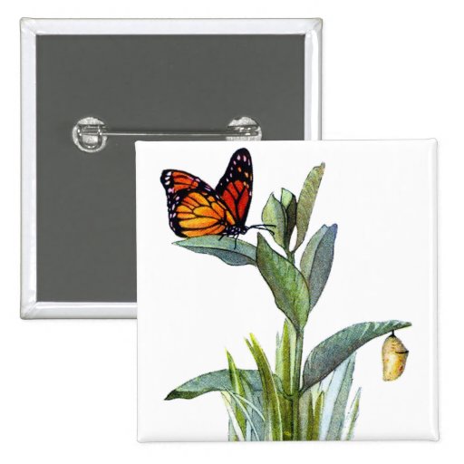 Vintage Butterfly Pin