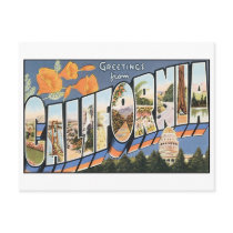 Vintage California Postcard
