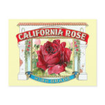 Vintage California Rose Floral postcards