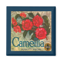 Vintage Camellia Brand Magnet