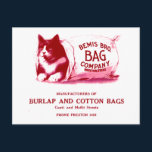 Vintage Cat in Bag Postcard
