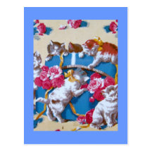 Vintage Cat Post Card