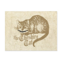 Vintage Cheshire Cat Illustration Post Cards
