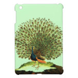 Vintage Chic Peacock Print iPad Mini Cases