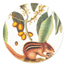 Vintage Chipmunk Illustration Round Sticker