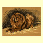 Vintage Chow Dog postcards
