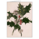 Vintage Christmas, Holly Branch with Red Berries Cards