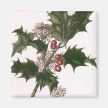 Vintage Christmas, Holly Branch with Red Berries Magnets
