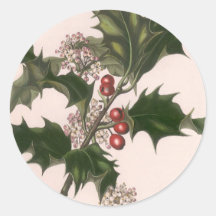 Vintage Christmas, Holly Branch with Red Berries Round Stickers