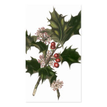 Vintage Christmas Holly Plant with Red Berries Business Card Template