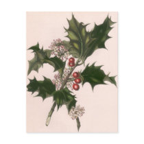 Vintage Christmas Holly with Red Berries