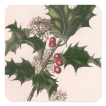 Vintage Christmas Holly with Red Berries Square Sticker
