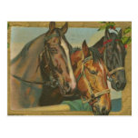 Vintage Christmas Horses Postcards