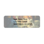 Vintage Christmas Nativity, Baby Jesus in Manger Return Address Label