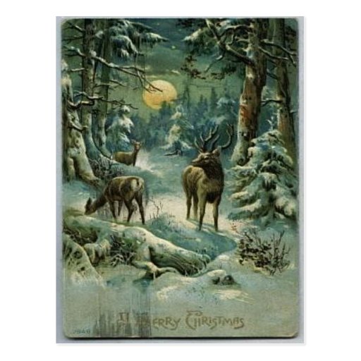 Vintage Christmas Post Card