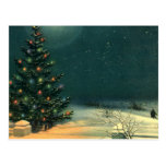 Vintage Christmas Tree at Night Lights Snow Winter Postcards