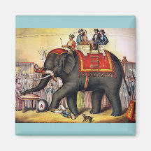 Vintage Circus Poster Art - Performing elephant Refrigerator Magnets