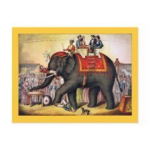 Vintage Circus Poster Art - Performing elephant Post Card