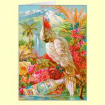 Vintage Cockatoo cards