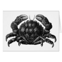 Vintage Crab Cards