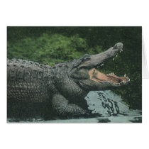 Vintage Crocodile Greeting Cards