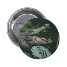 Vintage Crocodile, Marine Animal Life Reptile Buttons