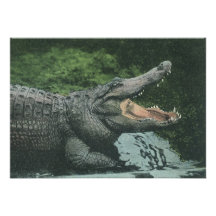 Vintage Crocodile, Marine Animal Life Reptile Custom Announcement