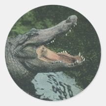 Vintage Crocodile, Marine Animal Life Reptile Round Sticker