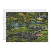 Vintage Crocodiles Announcements