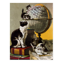 Vintage Cute Cats Kittens School Post Card