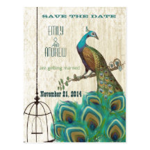 Vintage Damask Peacock Birdcage Save the Date Post Cards