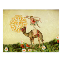 Vintage Dancer on a Camel Postcards