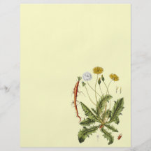 Vintage Dandelion Illustration Flyers