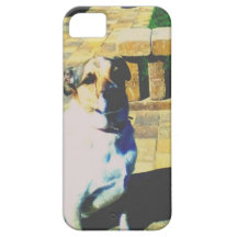 Vintage Dog Case