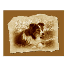 Vintage Dog in Sepia Tones Postcards