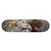 Vintage dog skateboard deck