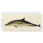 Vintage Dolphin; Delphinus Delphis Custom Rack Card