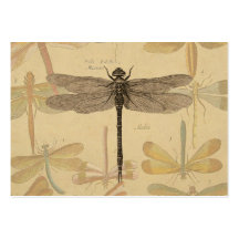 Vintage dragonfly drawing business card templates