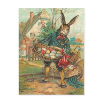 Vintage Easter Bunny Postcard