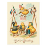 Vintage Easter Card With Circus Chicks Postcards
