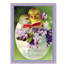 Vintage Easter Chick Postcard