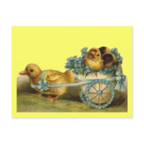 Vintage Easter Chicks in Egg of Violets Post Cards