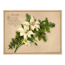 Vintage Easter Lily Postcard