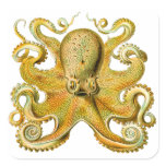 Vintage Ernst Haeckel Octopus in Yellow Sticker