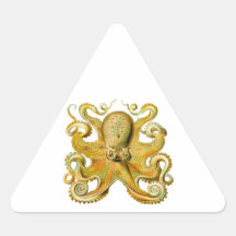Vintage Ernst Haeckel Octopus in Yellow Triangle Stickers