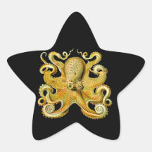 Vintage Ernst Haeckel Octopus in Yellow Stickers