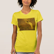 Vintage Fairy "Iris, Spirit of the Rainbow" Shirt