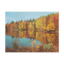 Vintage Fall Scene Postcards
