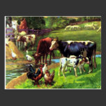 Vintage Farm Postcard postcards