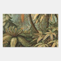 Vintage Ferns and Palm Tree Botanical Rectangle Sticker